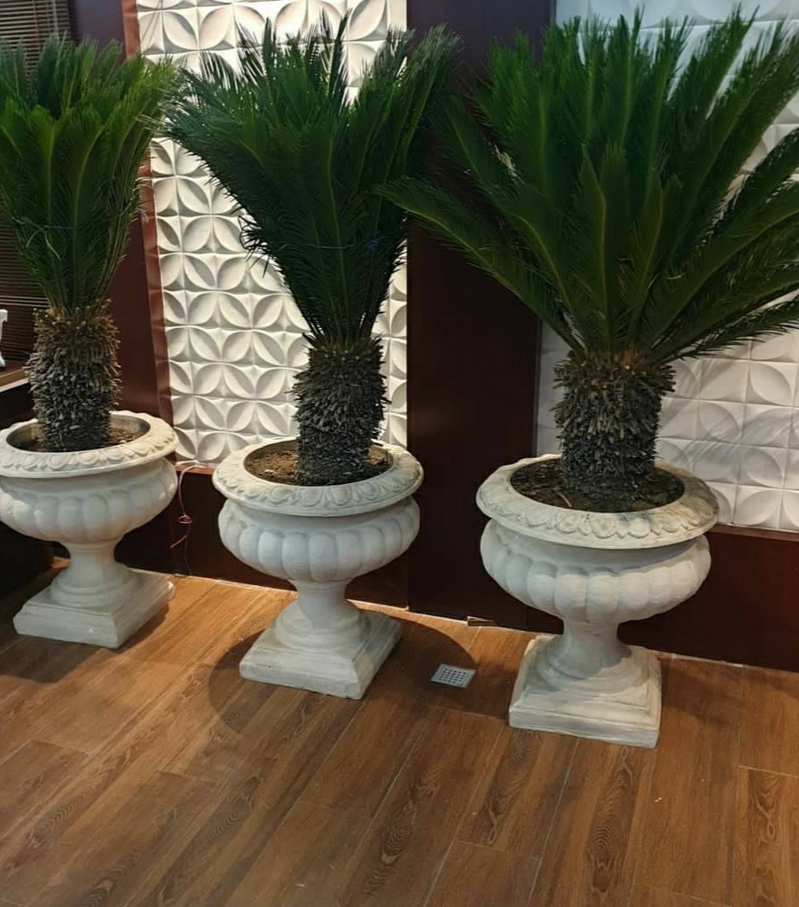 تولیدی گلدان کوچک بزرگ